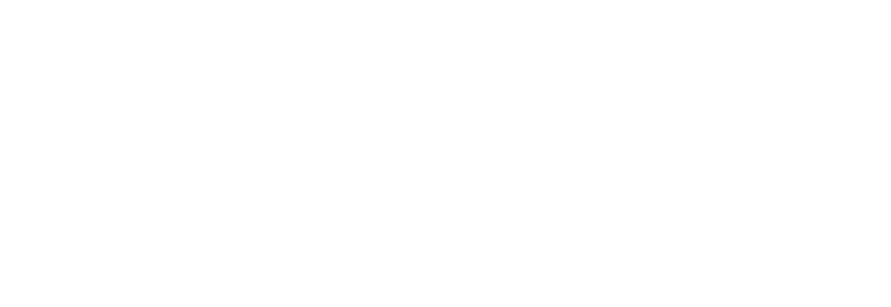 ACGI Solutions Summit